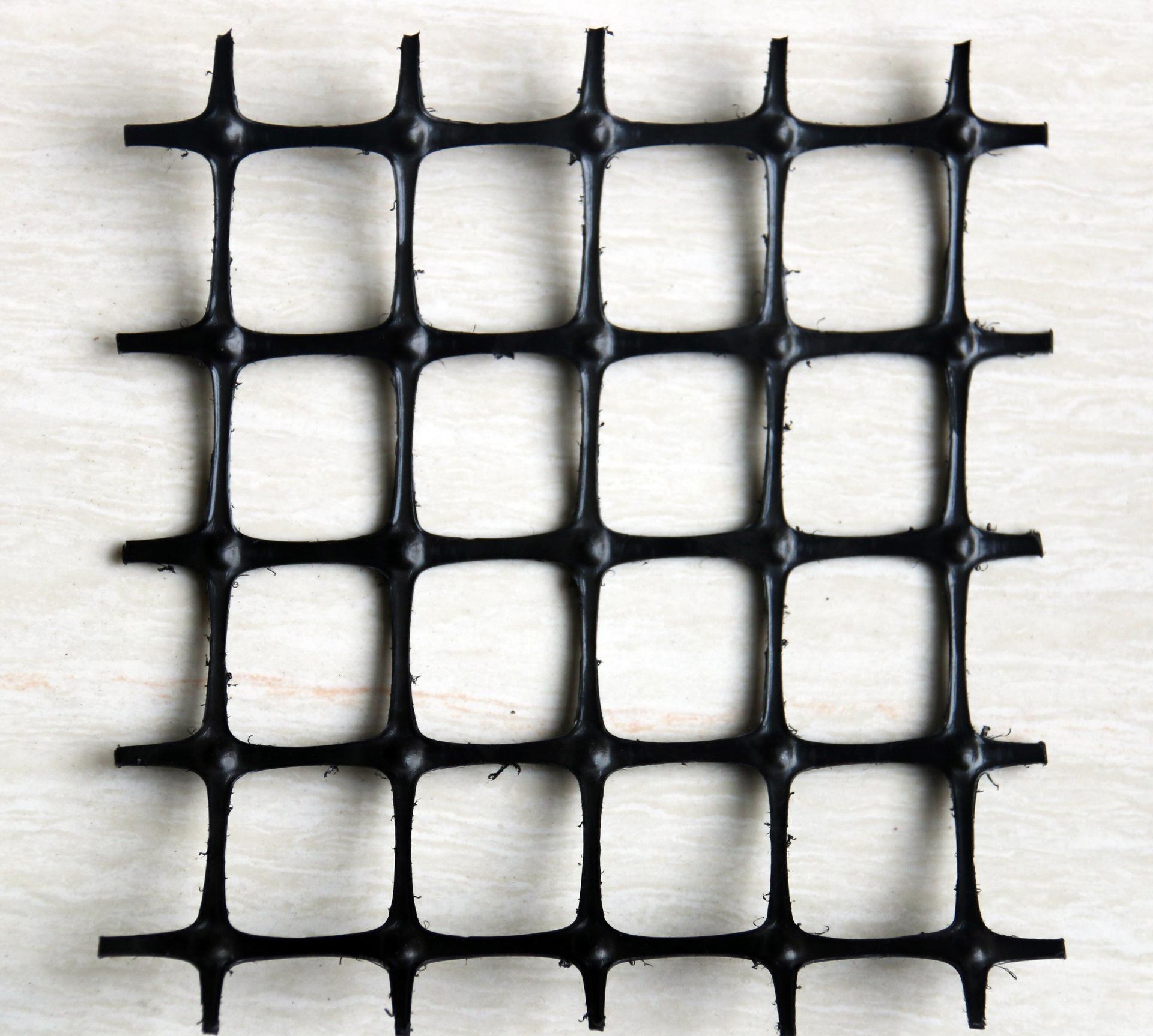 �p������������ŏS��