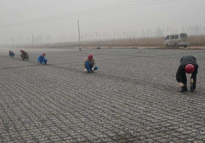 ������ŬF��